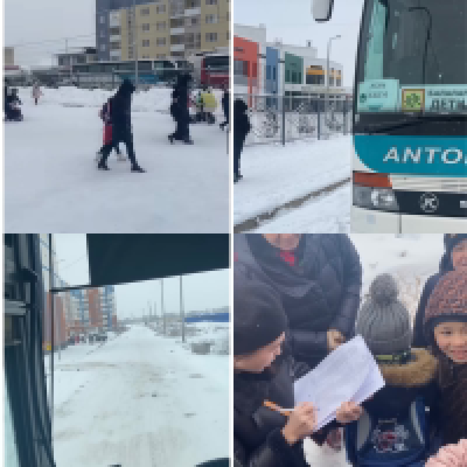 Автобус тасымалы